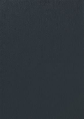 RENOLIT EXOFOL FX ANTHRACITE GREY 7016 